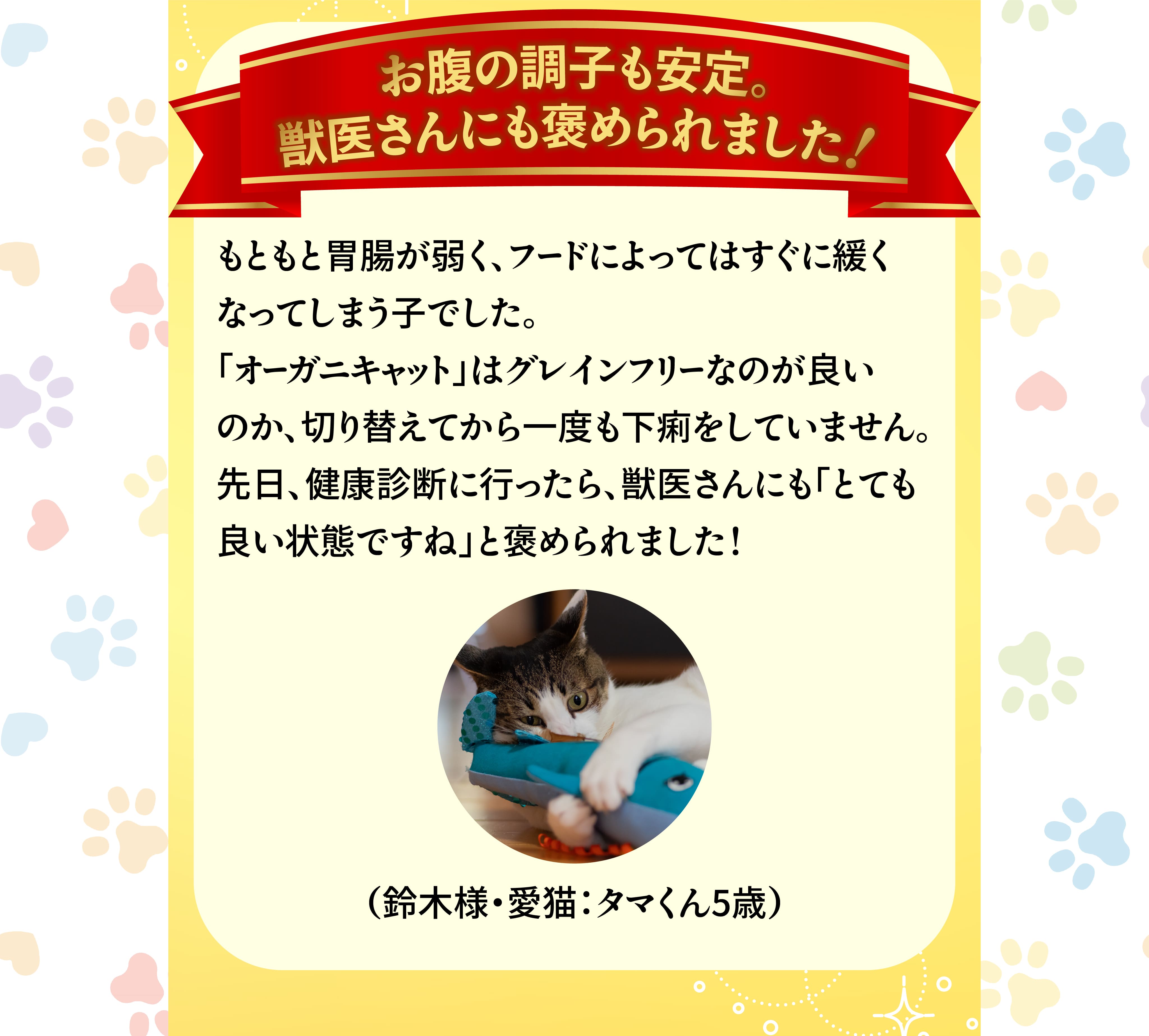 お腹の調子も安定。獣医さんにも褒められました！