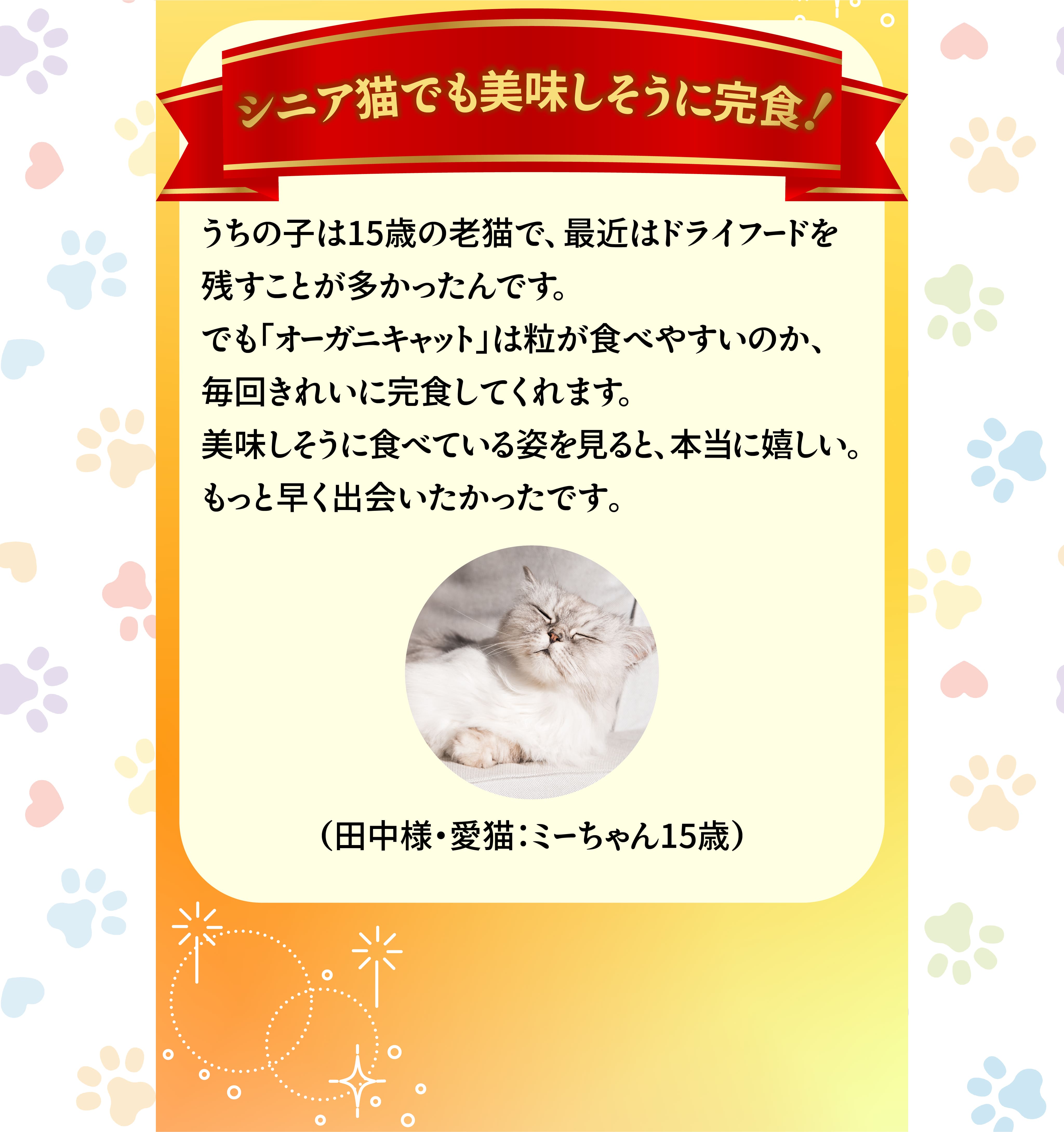シニア猫でも美味しそうに完食！