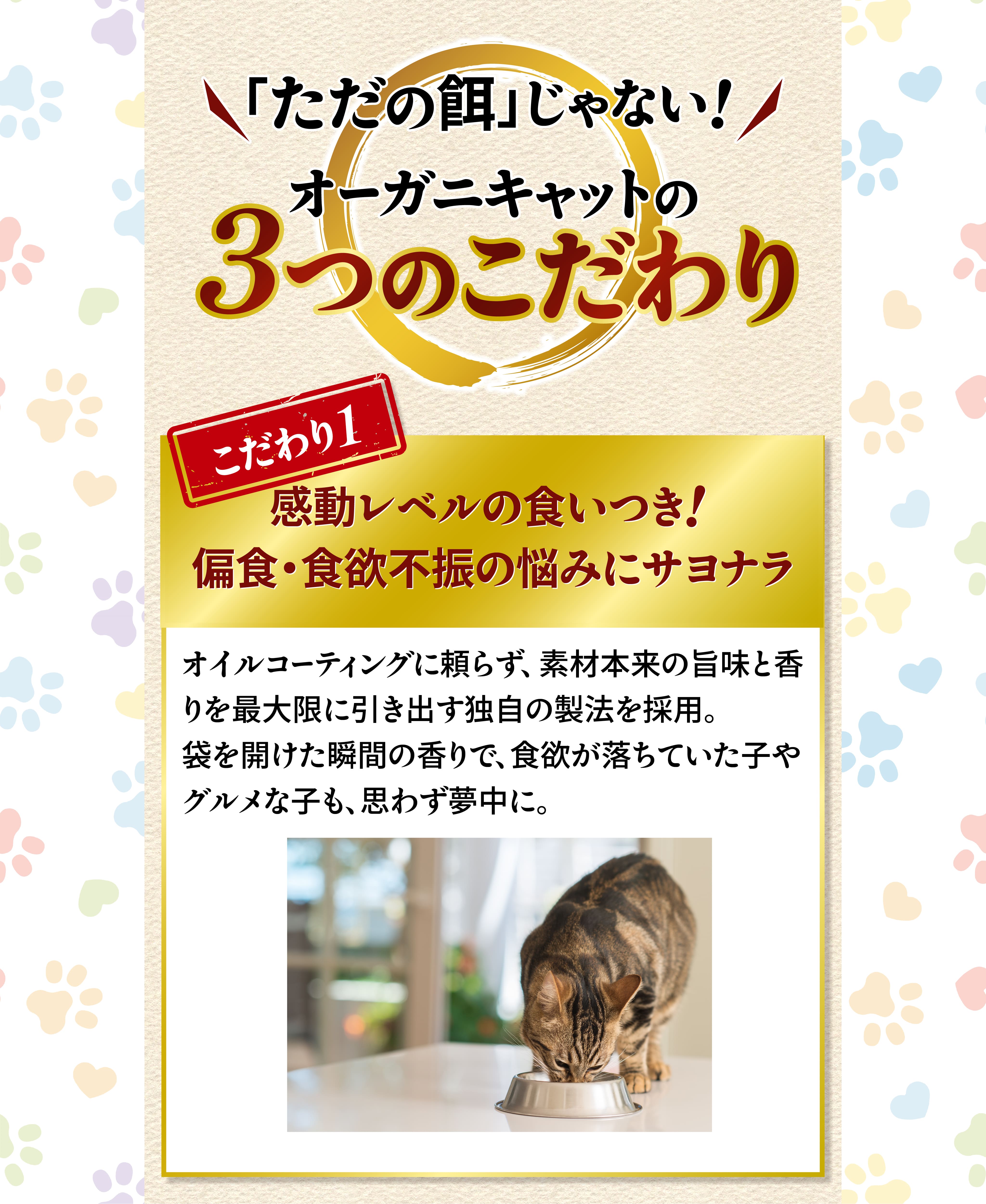 「ただの餌」じゃない！オーガニキャットの3つのこだわり