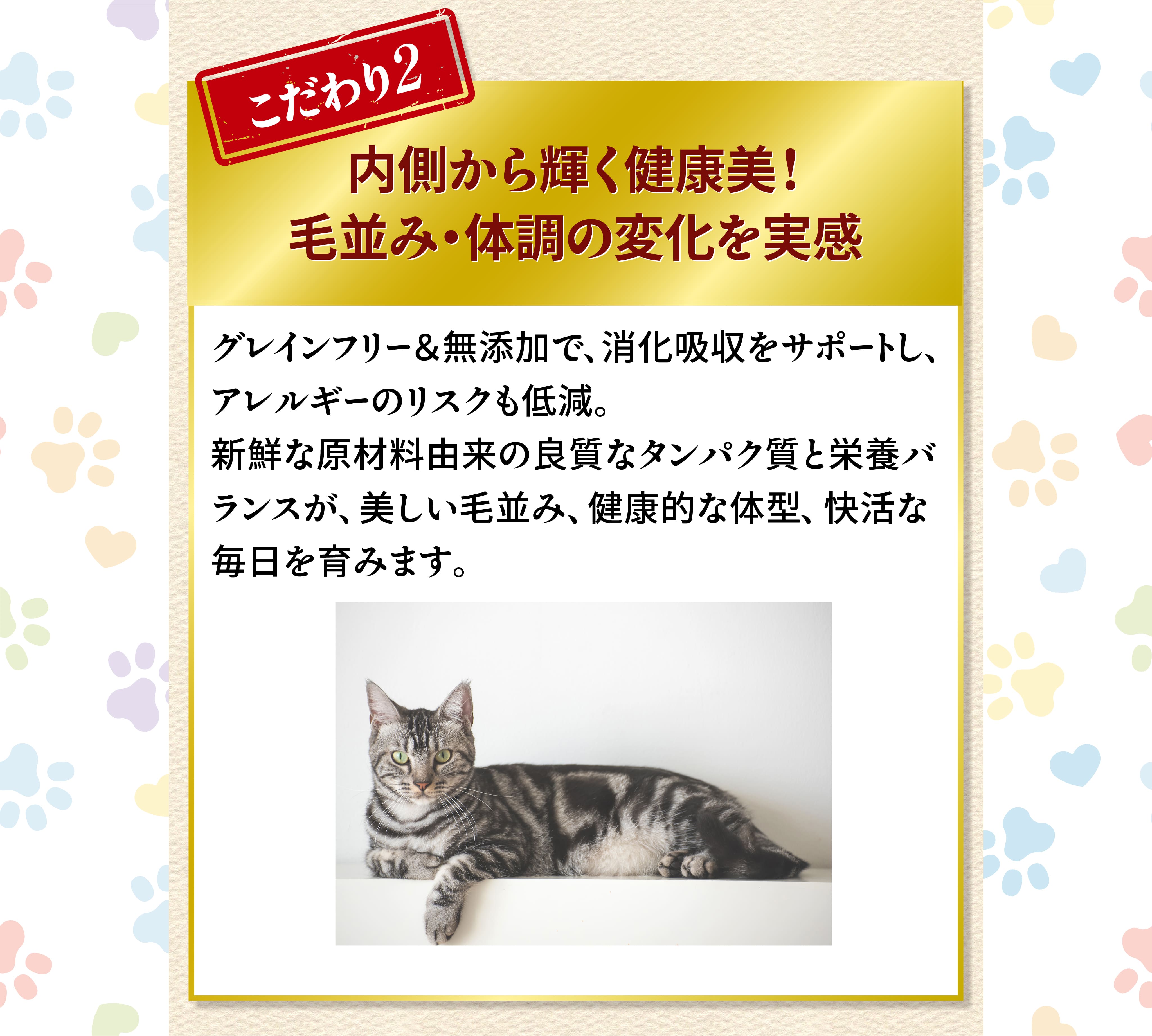 内側から輝く健康美！毛並み・体調の変化を実感
