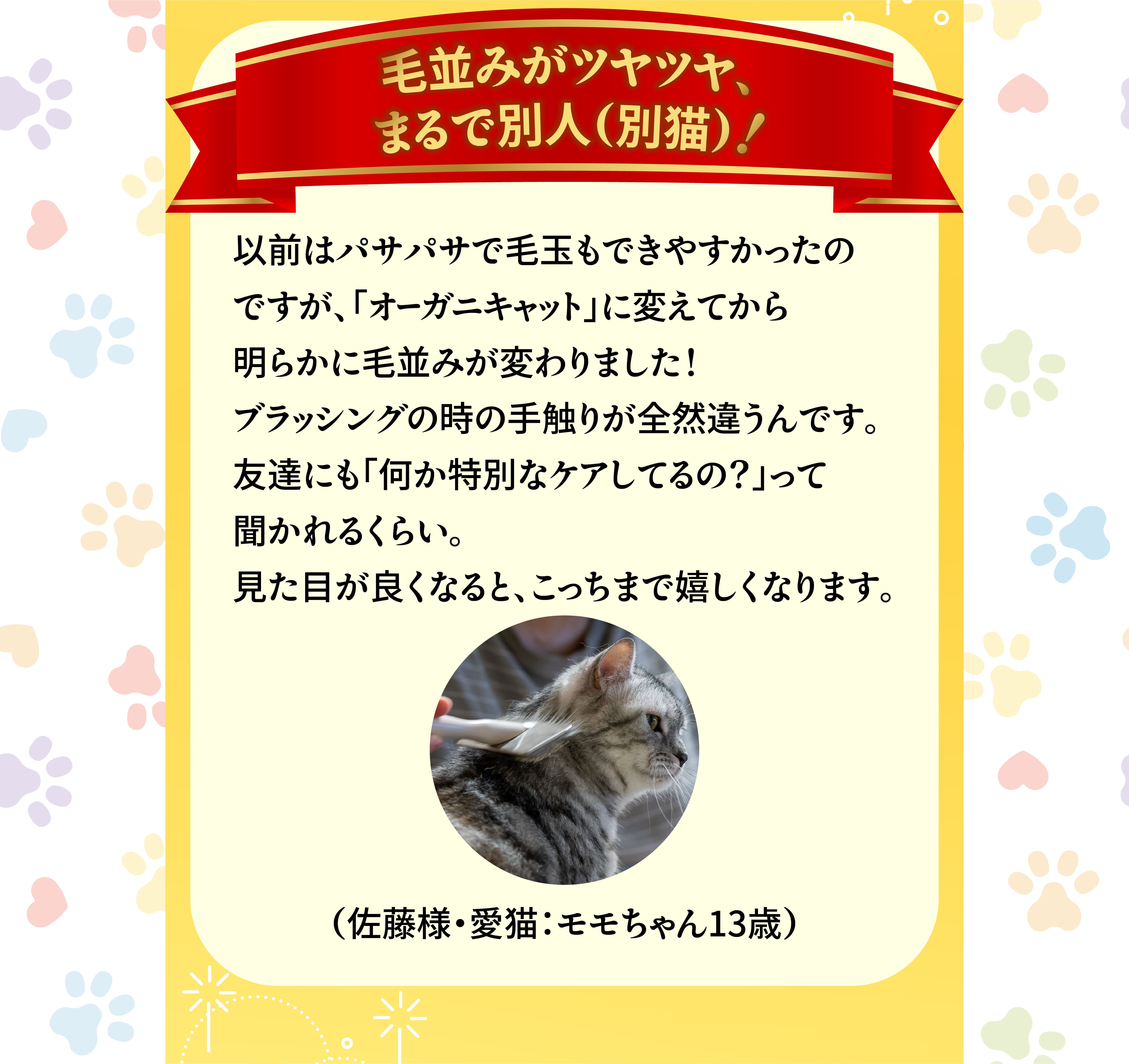 毛並みがツヤツヤ、まるで別人(別猫)！