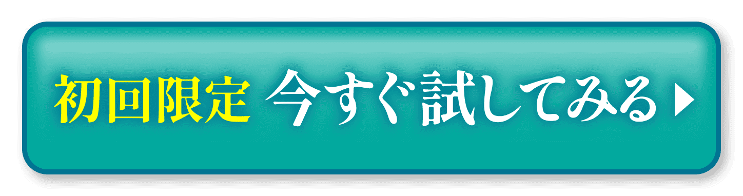 初回限定 今すぐ試してみる