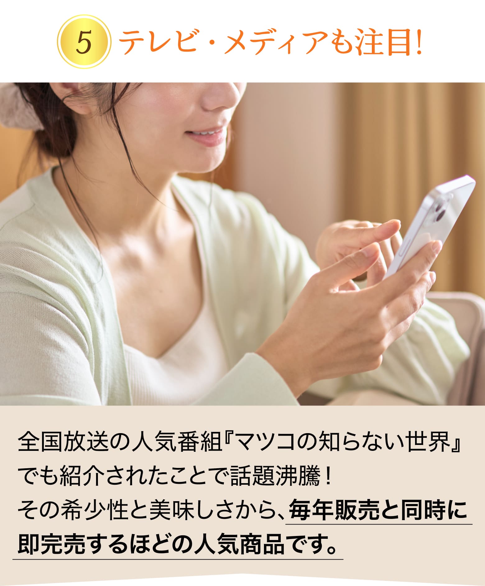 セクション6