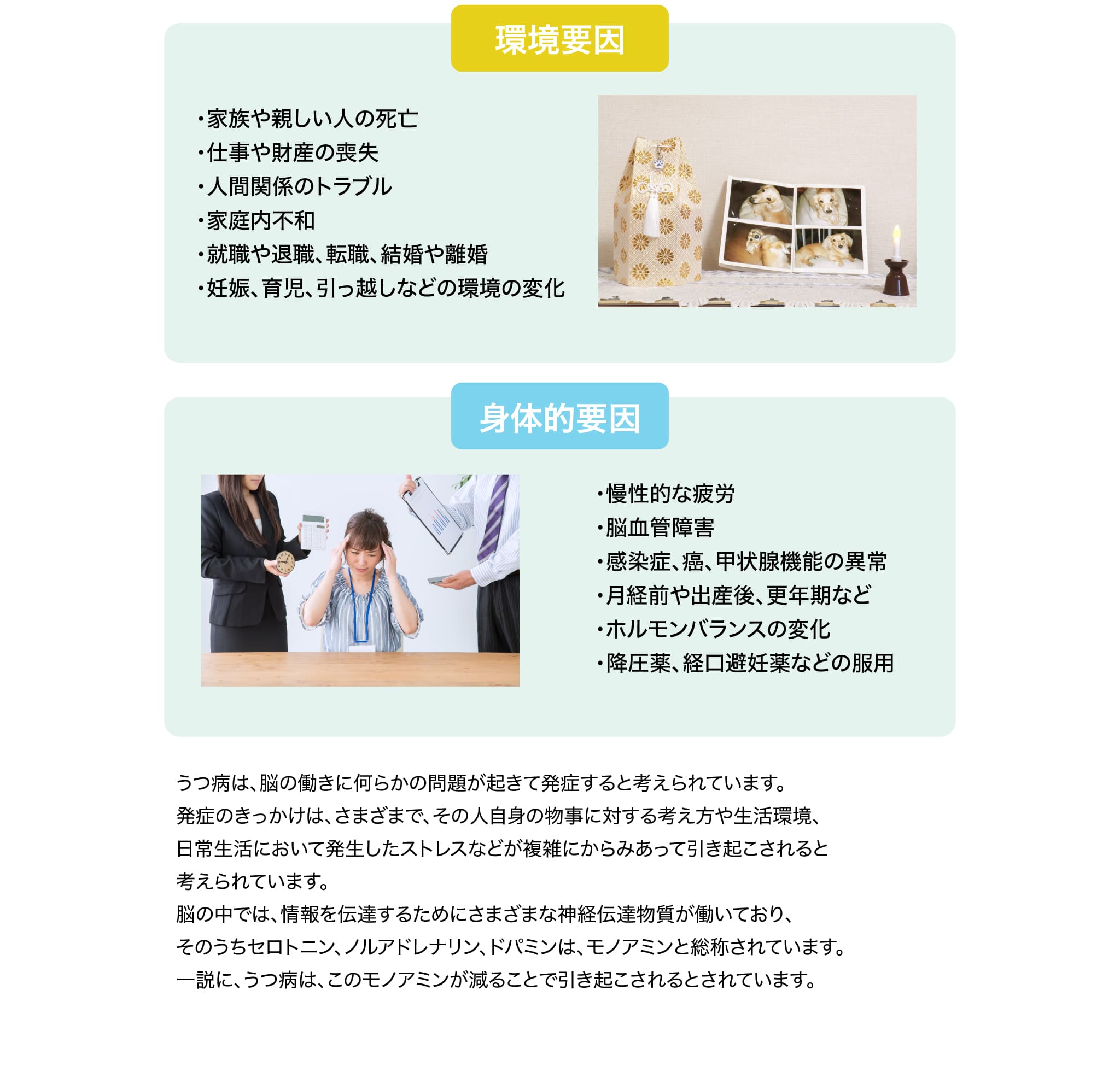 環境要因 身体的要因