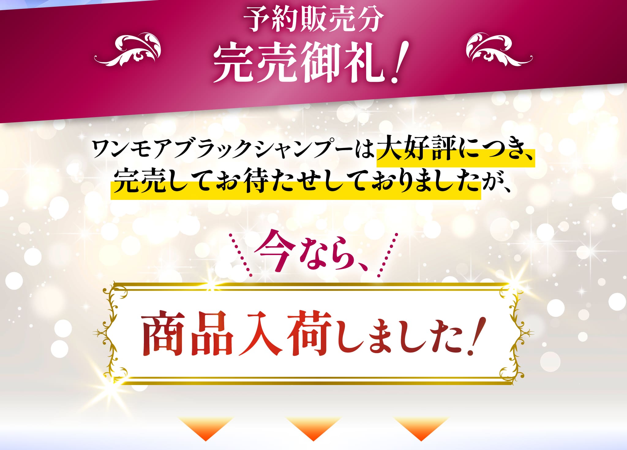 予約販売分 完売御礼！