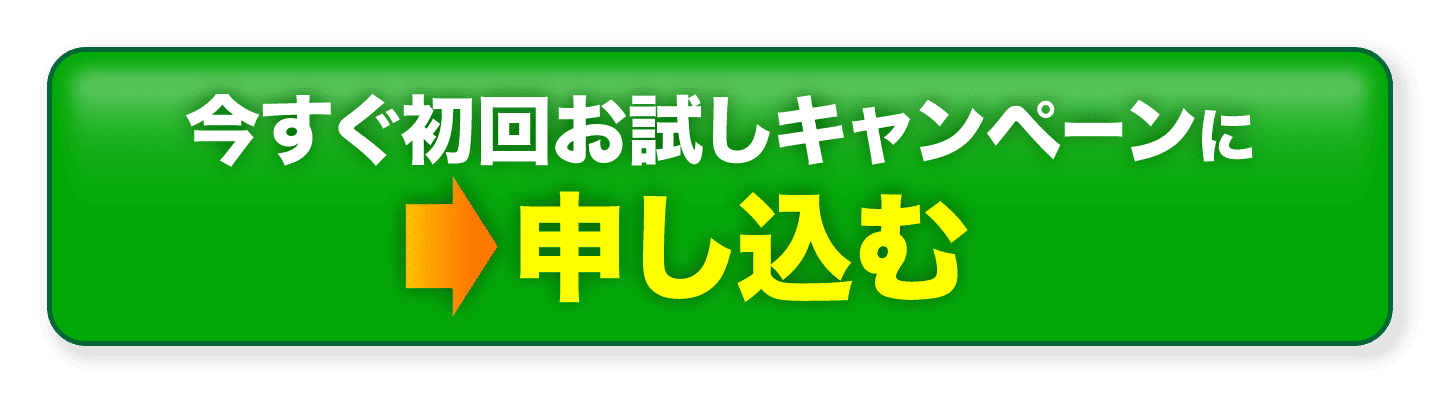 今すぐ初回お試しキャンペーンに申し込む