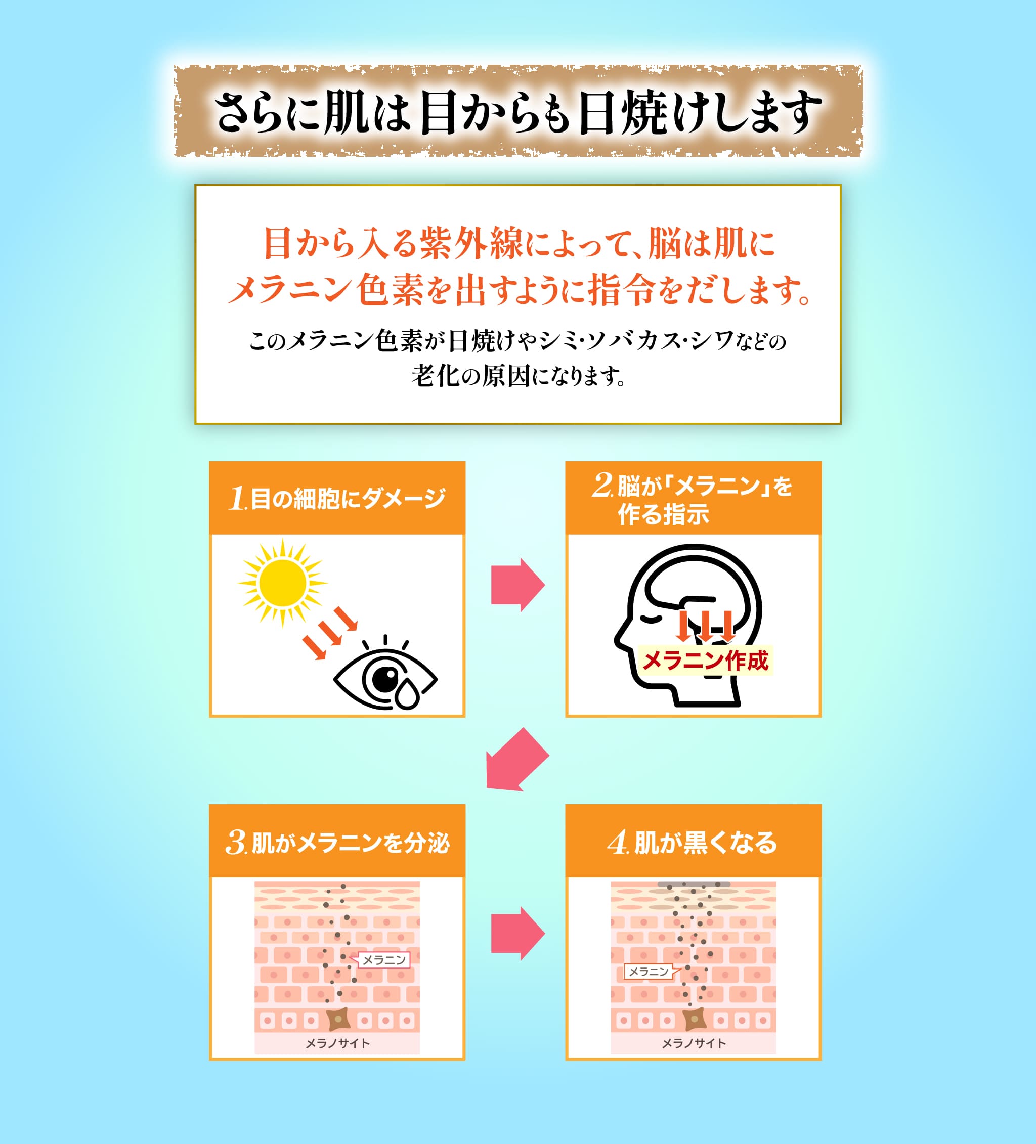 さらに肌は目からも日焼けします