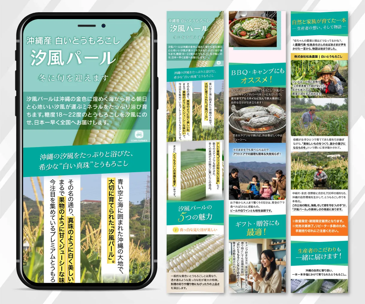 沖縄産 白いとうもろこし　汐風パール