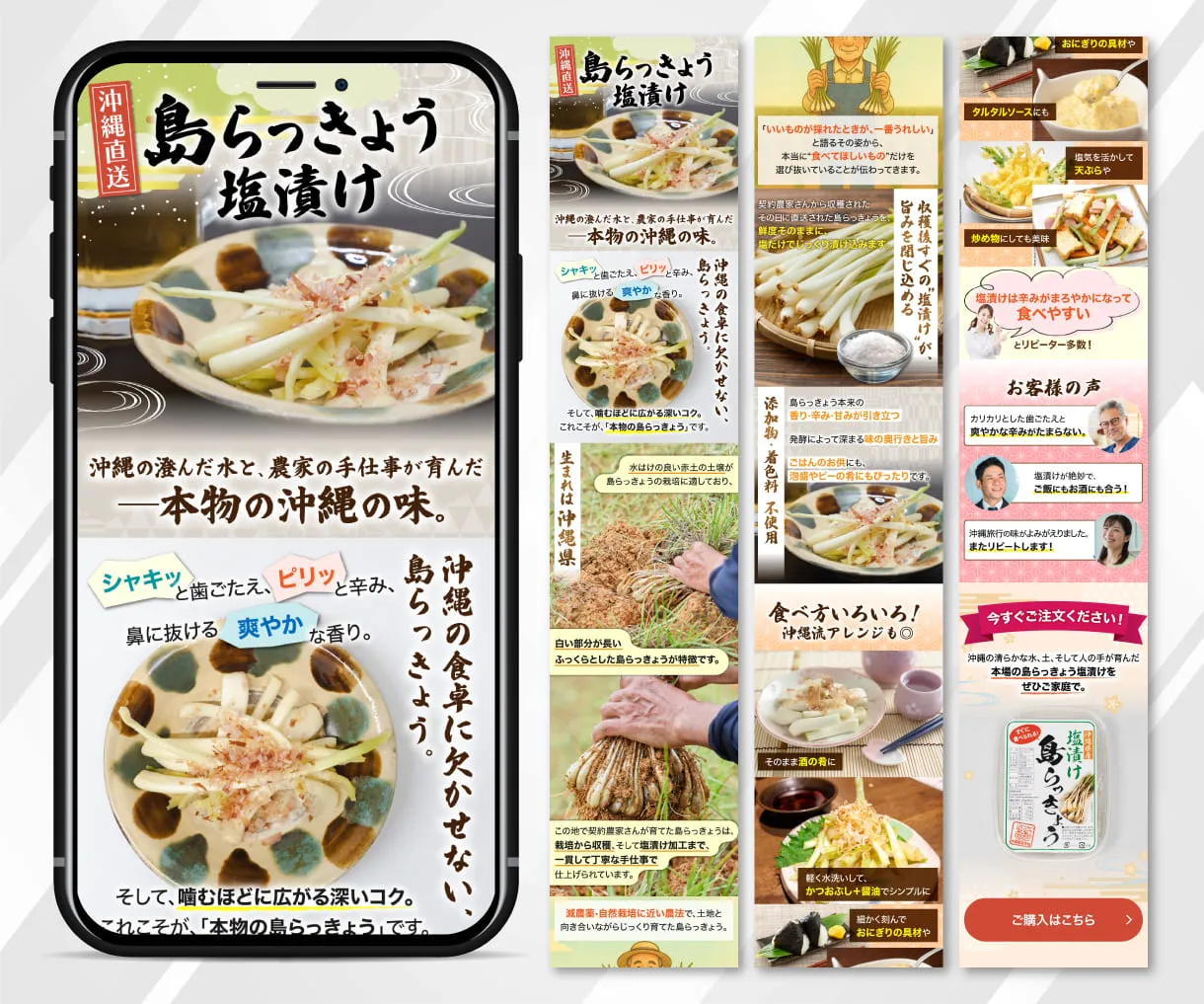 沖縄直送 島らっきょう塩漬け