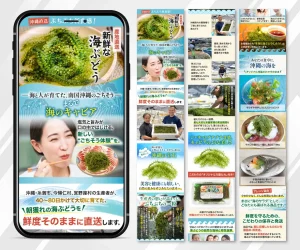 新鮮な海ぶどう