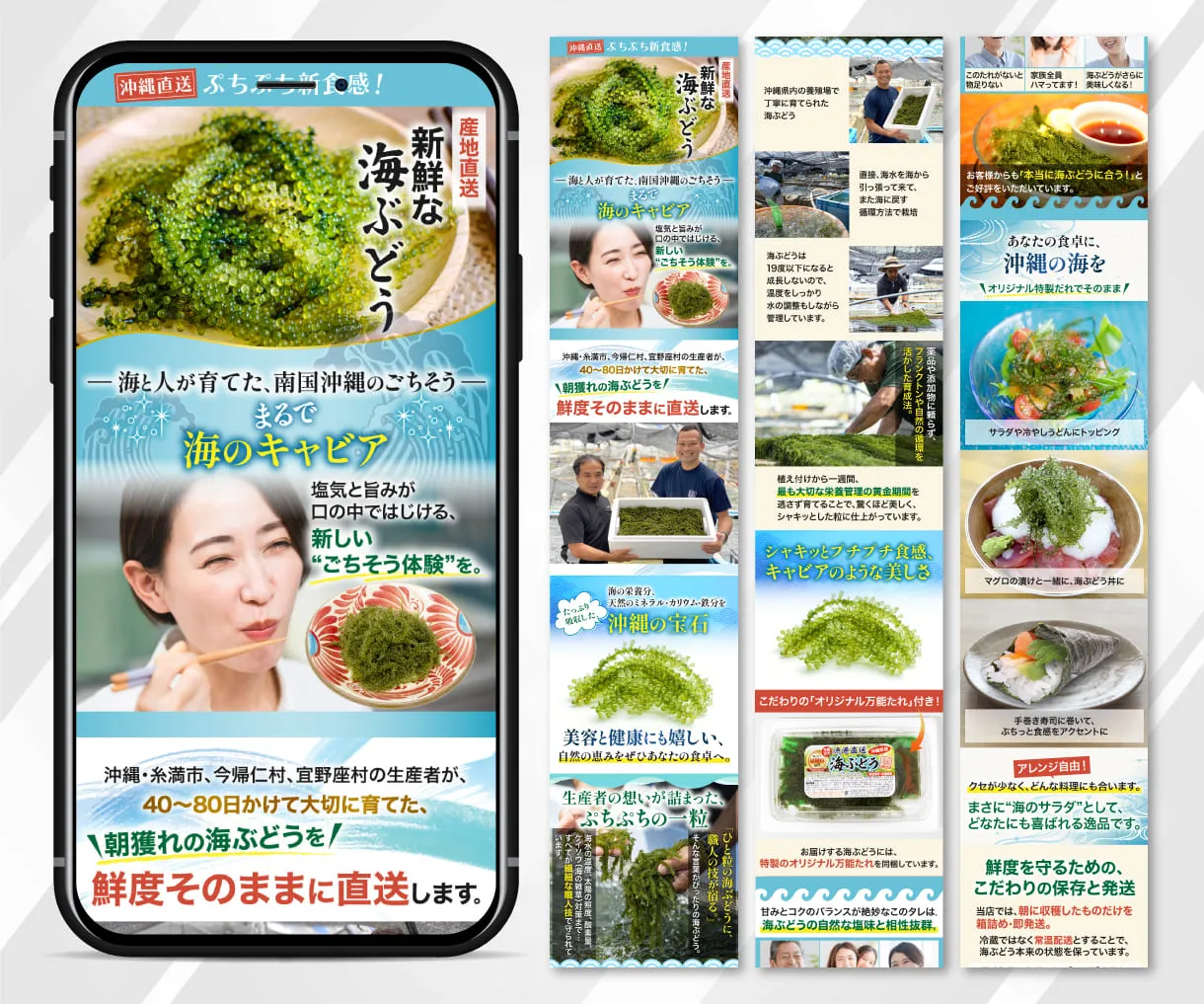 新鮮な海ぶどう