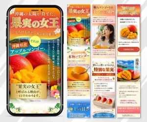 沖縄県産アップルマンゴー